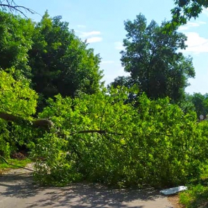 �� ������ ������� ����� ������ � ������� ������������ ���������