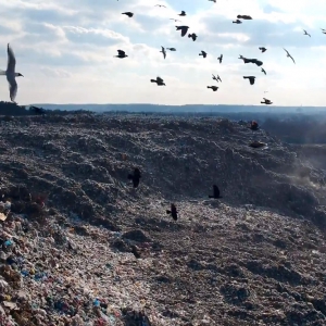 У Полтаві розробили нову програму поводження з відходами: протягом 5 років потрібно витратити 230 млн грн У Полтаві розробили нову програму поводження з відходами: протягом 5 років потрібно витратити 230 млн грн