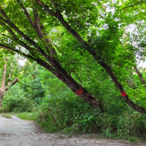 � ����������� ����� �������� ������ �� ��������� ������: 70% ����� � ������