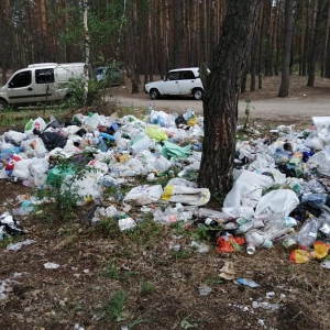 �������� ����������� �� ������ ���� ��������� � ������� ���������������� ������