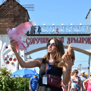 Сорочинський ярмарок 2020 планують провести з 18 по 23 серпня Сорочинський ярмарок 2020 планують провести з 18 по 23 серпня