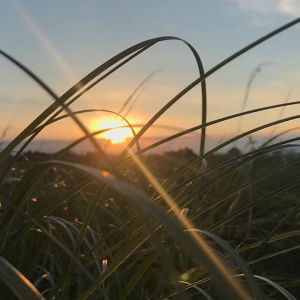 Погода у Полтаві: дощі в середині тижня принесуть трохи прохолоди Погода у Полтаві: дощі в середині тижня принесуть трохи прохолоди