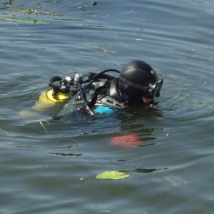 �� ���������� �������� ���� ��������� ��� �����, �� ������ ������� ���������