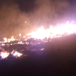 У Полтаві рятувальники три години гасили пожежу сухого гілля У Полтаві рятувальники три години гасили пожежу сухого гілля