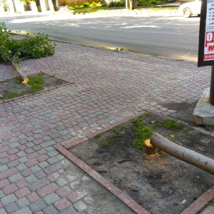 ������ ����� ���� �������, �� ������ ���� � ����� �������, ��� �� ������ ���� �������