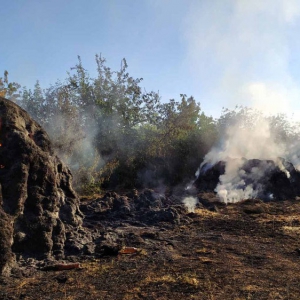 � �������������� ������ �� ��� ����� � ���������� ����������� ������ 5 ���� ���