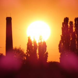 ������ � ������: ����� ������� ���� ����� �� �������