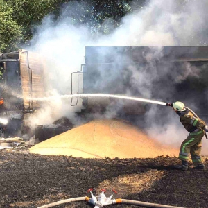 � ������������ ������ ������ ��������� �� 15 ������� �������