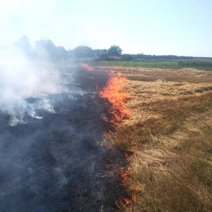 �� ����� ���������� ������� 3 �����, �������� ���� ����� ����� �� ������ �������������������� �������