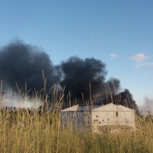 ��� ������ ��������� �������� ������: ����� ������� ���� ������� ���� 