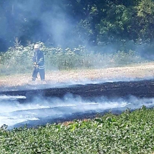 � ������������ ������ ������� ��������� 12 �� ���������