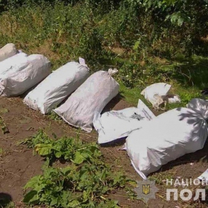 � ������������������� ������ ������ ������� 1900 ������ ��������� ����