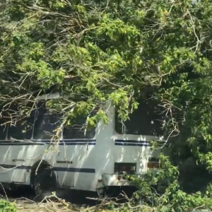 � ����� ������� �� ������� ����� ������ ���� ����� �� �������� ��� ����������