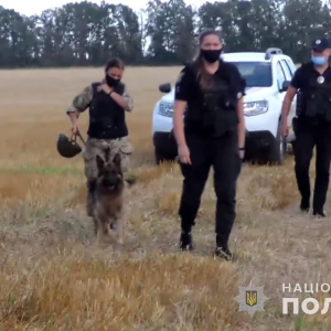 ������������� ��������� ������� �� ��������� ������ �� �����