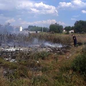 �� ������ ���� ���������� ���������� ��������� 5 ����� �� �������� ���������