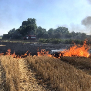 � ������� ����� ���� ������ 5 ��