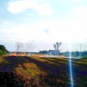 � ǳ���������� ������ ����� ������������� ����� ������ ������