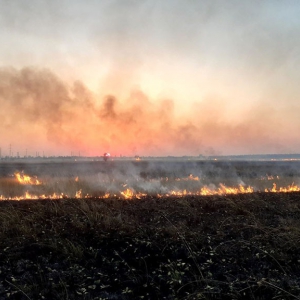 �� ���������� �������� ���� ������ 13 ������� ���� ���������� �� �����