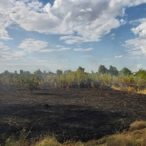 ������ ���� �� ���������� ������� 9 �� ���� �����