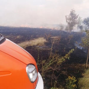 �� ���� �� ���������� ������� 4,5 �� ���� ����������