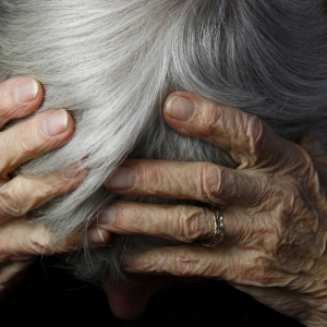 � ������ �� �������� ������� � 81-���� ���� ������ ���� ������