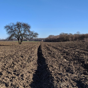 ������ ������ �������� �������: �������� ��������� ���� ������ ������ �� ������� ��������