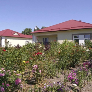 ������� �������� ������� � ����������� ��� ����������� ��� ����