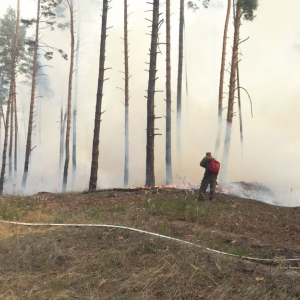 � ������������� ������ ������� ��������� �� �������� 20 �� ���