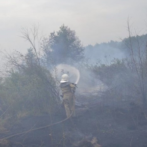 �� ���������� �������� ���� ������ 3,5 ������� ���� ����������