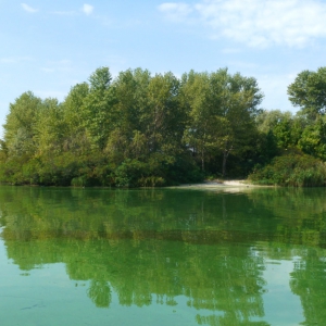 � ���������� �������� ����� �������� � ��� � 4 �������� �����������, ���� ������� ������������