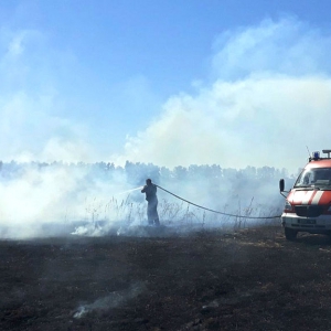 �� ���� �� ���������� ������� 2 �������� �����