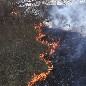 За добу на Полтавщині вигоріло 17,8 га сухої трави та очерету За добу на Полтавщині вигоріло 17,8 га сухої трави та очерету