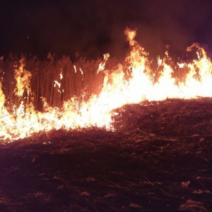 �� ���������� �� ���� ��������� 7 ����� �� ������� �������