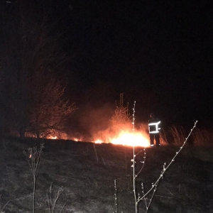 � �������� ������� ���������� ����������� ������ �������� �����