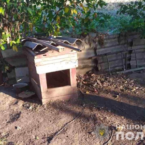 � ��������������� ������ ������ �� ����� ����� ������ �� ���� � ������