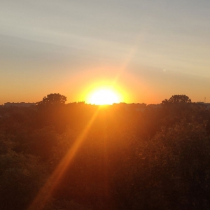 ������ � ������: ��������� ������� ���� ������ �� ��������