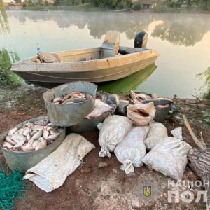 �� ���������� ��������� �����풺��, �� �������� 640 �������� ����