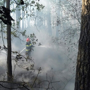 ϳ� �������� ����� ��� � ������� 1000 �? ����� ��������