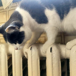 ϳ��� ���������� ��������� ���� �� ��� ��� ����������� ������� �������� ��� ��������� ����������� ������ �� 30%