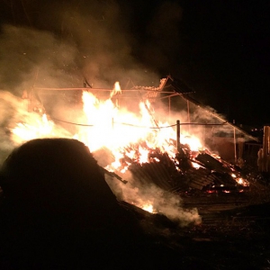 � ���������� ������ �� ��� ����� � ������� ������� ��������