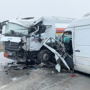 � ������������ ������ ��������� ��������� �� ����������� � �� ������ � ������