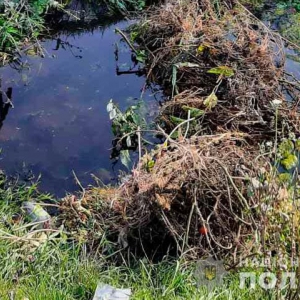 � �������� ������� ������ 17-���� ������