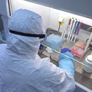 � ������ �� ��� ������ ²�/�Ͳ�� ��������� �� ���� ���-���������� ������� 15,6 ��� ���