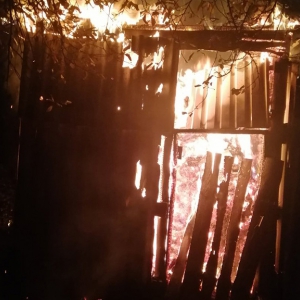 � ������ ����� ����� �� ������ ���