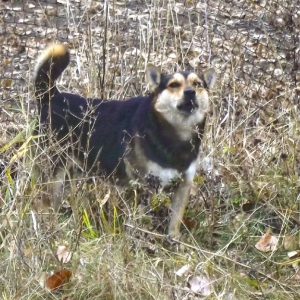 ������ ������� ������ �� ����� ���� �����: ����� �� �� ������ ������� �������� ������������ ����-1628