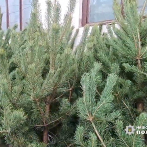 �������� ���������� �� ��������� ������� ������ � �� ������ �� ����������� ���