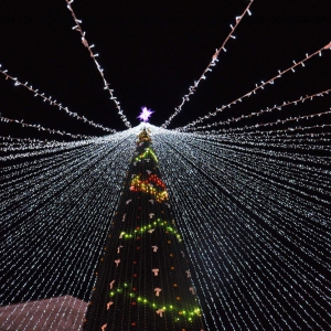 Полтавців запрошують визначити дату запалення головної ялинки міста Полтавців запрошують визначити дату запалення головної ялинки міста