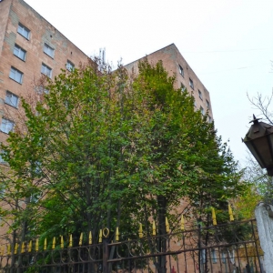 Міноборони замовило капремонт військового гуртожитку на вулиці Зіньківській за 19 млн грн Міноборони замовило капремонт військового гуртожитку на вулиці Зіньківській за 19 млн грн