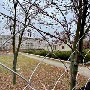 � ���������� ������� ������������� ������� 200 ��� ���: �� 4 ����� ���������� ���� ������