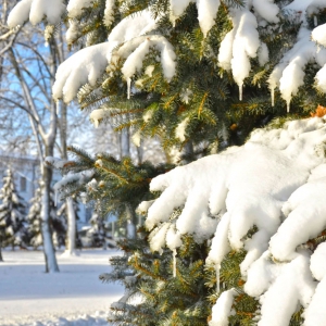 ������ � ������: ���������� ����� ��������� ������������ ����